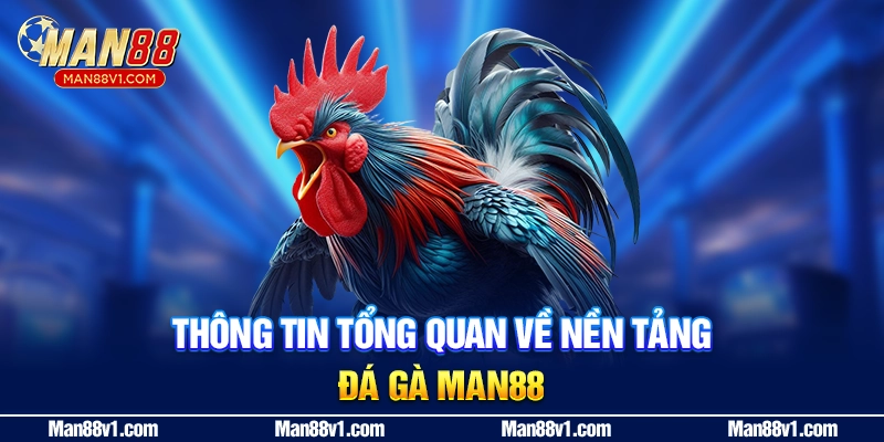 Thông tin tổng quan về nền tảng đá gà Man88