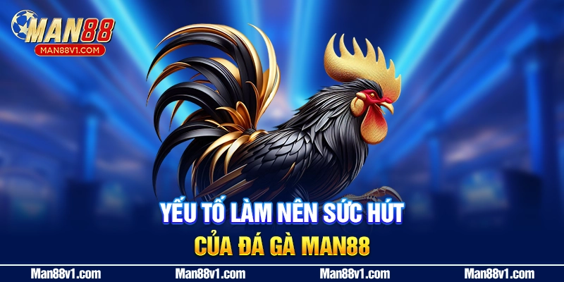 Yếu tố làm nên sức hút của đá gà Man88